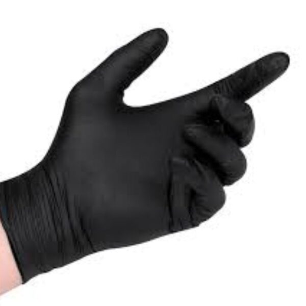 Vinyl Gloves x 100 pcs